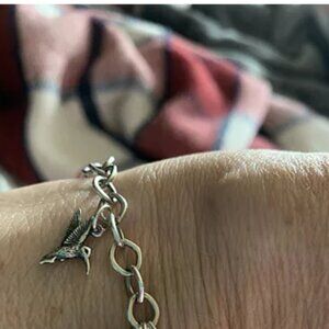Hummingbird Charm